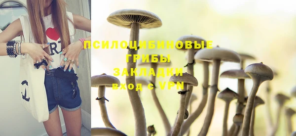 прущие крисы Горно-Алтайск