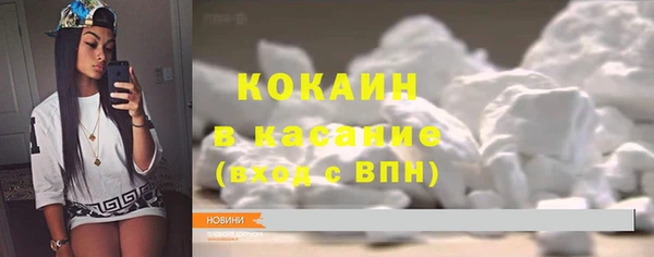 ПСИЛОЦИБИНОВЫЕ ГРИБЫ Вяземский