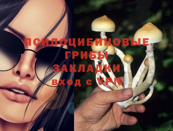 дурь Вязьма