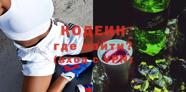 ПСИЛОЦИБИНОВЫЕ ГРИБЫ Вяземский