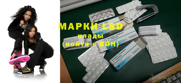 тгк Горнозаводск